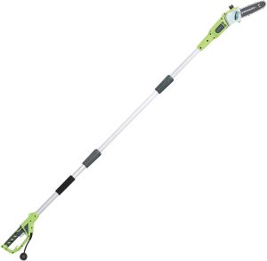 Greenworks 8-Inch 6.5 Amp Corded Pole Saw with Case