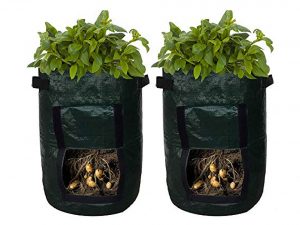 Potato / Vegetable Planter Bags with Flap Access
