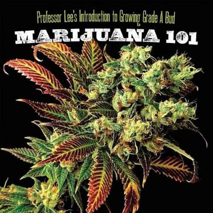 Marijuana 101: Everything You Need to Know (Ultimate Series)