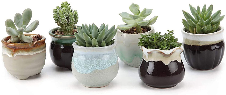 T4U 2.5 Inch Ceramic Succulent Pot,Cactus Planter Pot Plant Container Flower Pot Flowing Glaze Black&White Serial for Christmas Gift Pack of 6