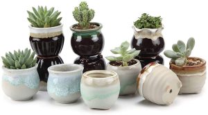 T4U 2.5 Inch Ceramic Flowing glaze Black & White Base Serial Set succulent Plant Pot/Cactus Plant Pot Flower Pot/Container/Planter Package 1 Pack of 12