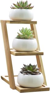 Jusalpha 3.2 Inches Ceramic Modern Decorative Small Round Succulent Plant Pot, Planter for Succulent Plants, Small Cactus and Herbs with Bamboo Tray for Room Decor - Set of 3