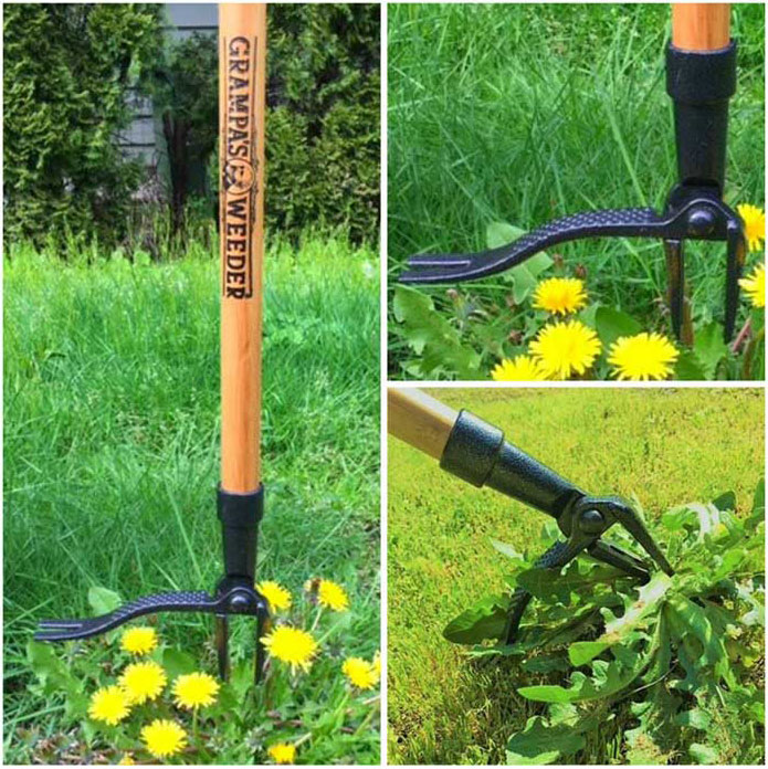 Grampa's Weeder (CW-01 - The Original Stand Up Weed Remover Tool