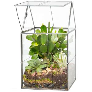  Great gift for all occasions! For the green thumb in your life, give them a terrarium that is great for growing micro-greens, succulents, air plants, moss, cacti, and more!