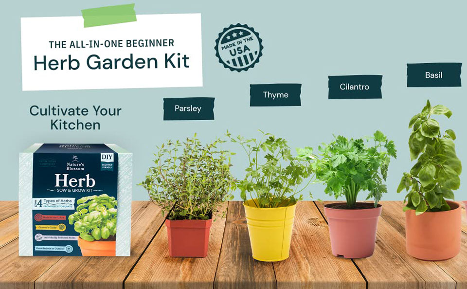 Grow 5 Herbs From Organic Seeds with Nature's Blossom Herb Garden Starter Kit - Fresh Thyme ; Basil ; Cilantro ; Parsley and Sage. Planters Set W/All a Gardener Needs for Growing Indoor Plants