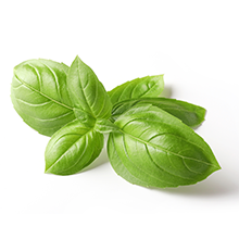  Basil Basil can be used to season various dishes, sauces, soups, or even top a pizza with whole leaves.