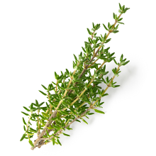  Thyme  Fresh & dried thyme can be added to soups, stews, meats, and is a popular herb in Mediterranean cuisine.