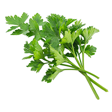  Parsley  Fresh parsley is widely used as a garnish, but is also rich in vitamins & nutrients and can be used in anything from soups to chimichurri.