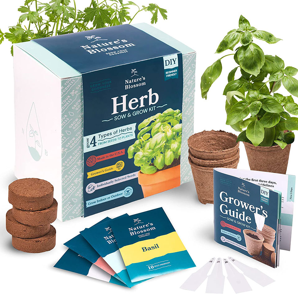 Grow 5 Herbs From Organic Seeds with Nature's Blossom Herb Garden Starter Kit - Fresh Thyme ; Basil ; Cilantro ; Parsley and Sage. Planters Set W/All a Gardener Needs for Growing Indoor Plants